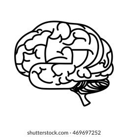 brain mind head intellectual think human organ mental vector  illustration isolated