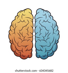 brain mind idea creativity memory image