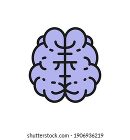 Brain, mind, intelligence, human organ flat color line icon.