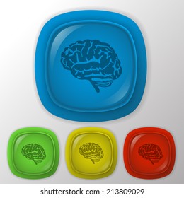 Brain.  Mind and science