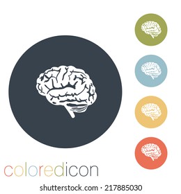 Brain.  Mind and science