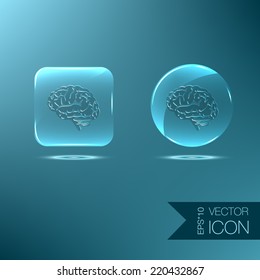Brain.  Mind and science