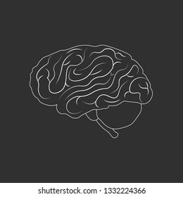 Brain or mind side outline vector icon. medical illustration