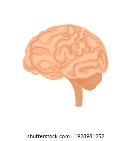 Brain or mind side view line art color vector icon for medical apps and websites.