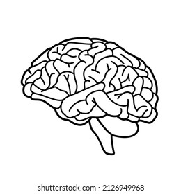 245,977 Brain graphic Images, Stock Photos & Vectors | Shutterstock