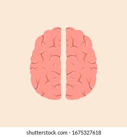 Brain Or Mind Top View Line Art Color Vector Icon For Medical Apps And Websites.