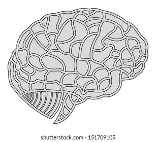 brain model. EPS10 illustration 