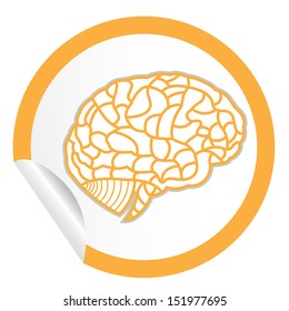 brain model on sticker icon web button. EPS10 illustration