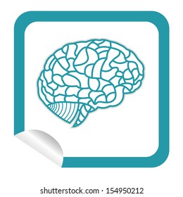 brain model on sticker icon web button. EPS10 illustration 