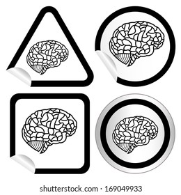 brain model on sticker icon web button. EPS10 illustration