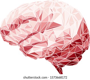 Brain net - human organ - vector illustration