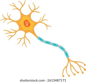 Brain neuron Cell Vector Illustration	