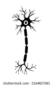 Brain neuron symbol. Human neuron cell sign. Synapses, myelin sheat, cell body, nucleus, axon and dendrites icon. Neurology illustration