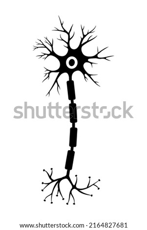 Brain neuron symbol. Human neuron cell sign. Synapses, myelin sheat, cell body, nucleus, axon and dendrites icon. Neurology illustration