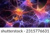 neuroscience background