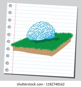 Brain on ground with grass