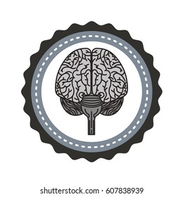 brain organ human icon vector illustration design