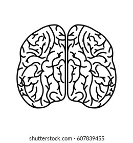 brain organ human icon vector illustration design