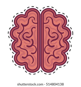 brain organ human isolated icon