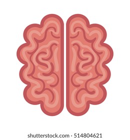 brain organ human isolated icon