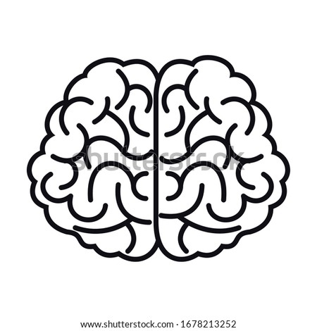 brain organ human isolated icon vector illustration design