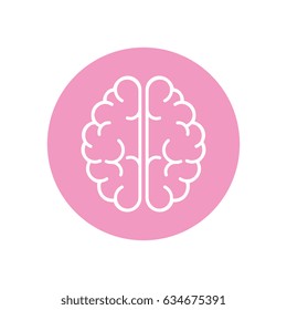 brain organ icon