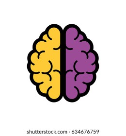 brain organ icon