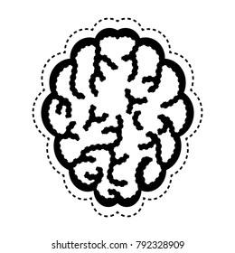 brain organ icon