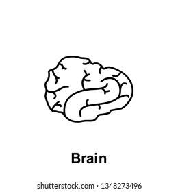 Brain, organ icon. Element of human organ icon. Thin line icon for website design and development, app development. Premium icon