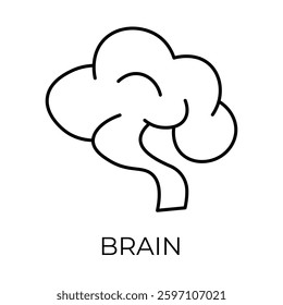 Brain – Organ Representing Neurological Function