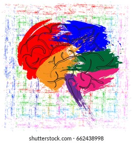 The brain of a person, represented in the form of brush strokes with a multicolored paint. Abstraction, illustration