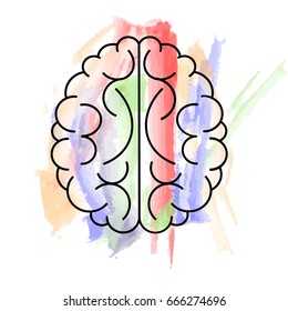 The brain of a person, represented in the form of brush strokes with a multicolored paint. Abstraction, illustration
