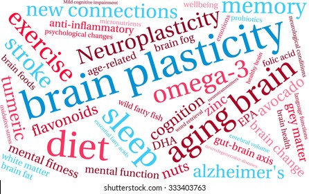 Brain Plasticity word cloud on a white background. 
