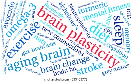 Brain Plasticity word cloud on a white background. 