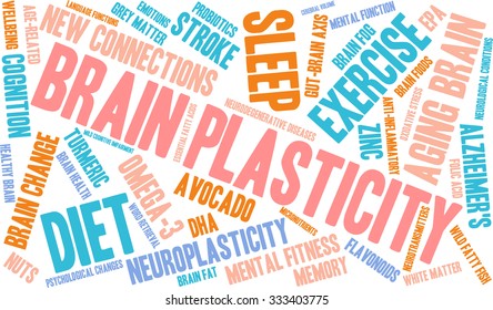 Brain Plasticity word cloud on a white background. 