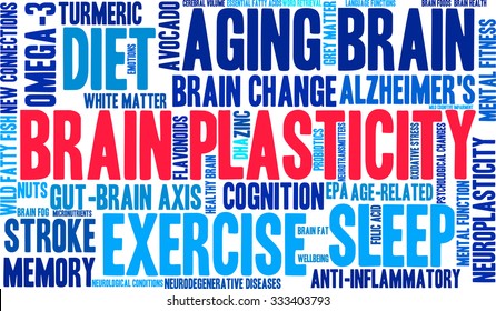 Brain Plasticity word cloud on a white background. 