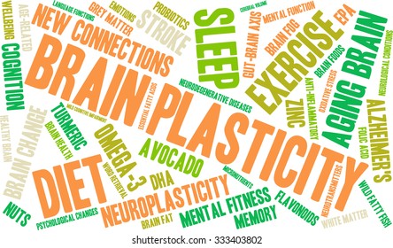 Brain Plasticity word cloud on a white background. 