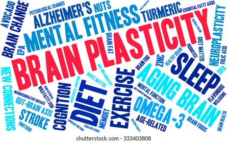 Brain Plasticity word cloud on a white background. 