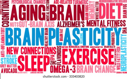 Brain Plasticity word cloud on a white background. 