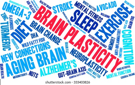 Brain Plasticity word cloud on a white background. 