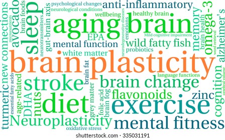 Brain Plasticity word cloud on a white background. 