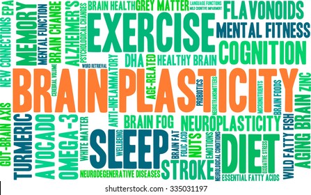 Brain Plasticity word cloud on a white background. 