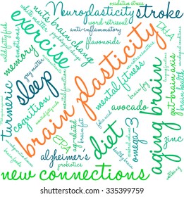 Brain Plasticity word cloud on a white background. 