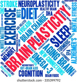 Brain Plasticity word cloud on a white background. 