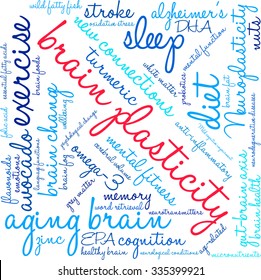 Brain Plasticity word cloud on a white background. 