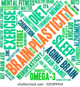 Brain Plasticity word cloud on a white background. 