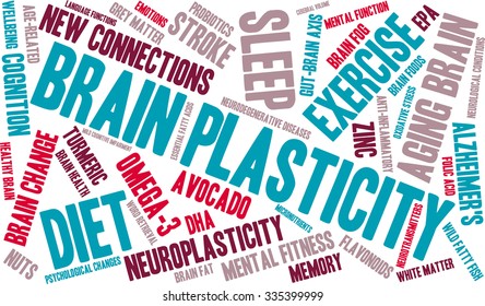 Brain Plasticity word cloud on a white background. 