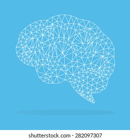 Brain polygon connection