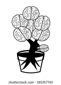 brain in pot on white background