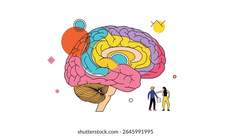 Brain Processes for Improved Learning and Memory Functionality Methods